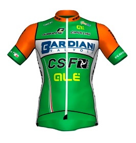 Logo de l'équipe /content/teams/logo-bardiani-csf-2018.jpg